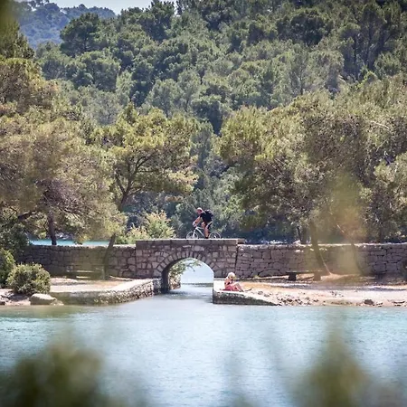 Teuta House In National Park Διαμέρισμα Goveđari