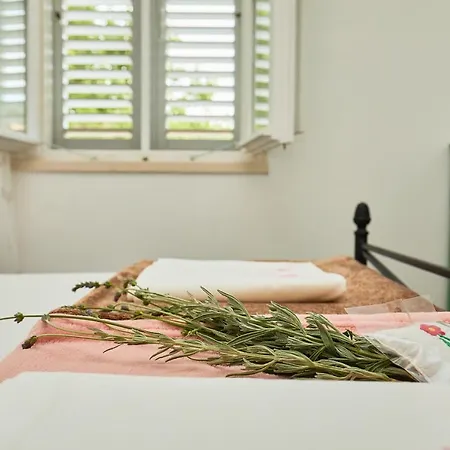 Teuta House In National Park *