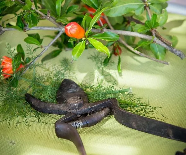 Teuta House In National Park Apartmán