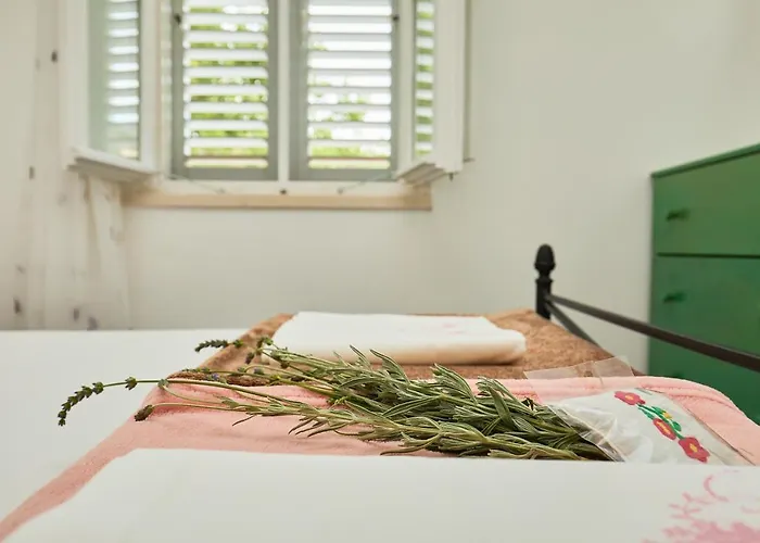 Teuta House In National Park *